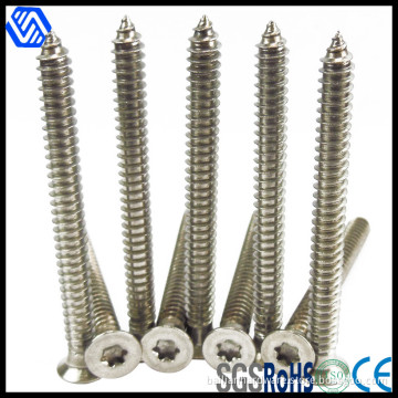 Factory Price Stainless Steel Hexagon Socket Countersunk Head Screws (BL-5008)